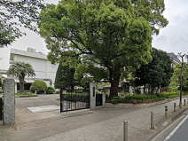 平塚市立旭小学校