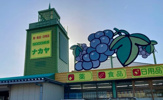 GOODIESナカヤ 勝沼店