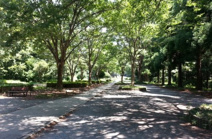 智光山公園