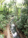 公園 等々力渓谷