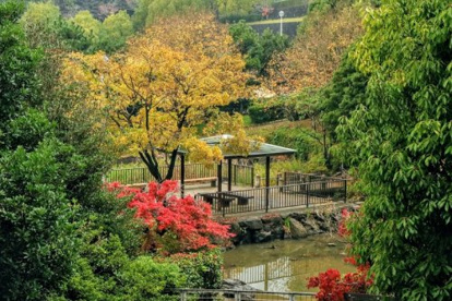 旭ケ丘近隣公園の画像1