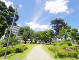 公園 ひばりが丘団地 3号棟前広場