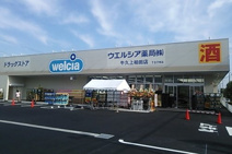 ドラッグストア ウエルシア 牛久上柏田店