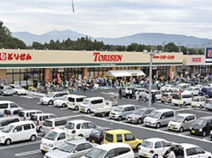 とりせん木田余店