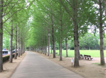 科学万博記念公園