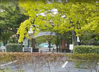 乙戸ファミリースポーツ公園の画像1
