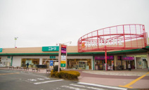 ニトリ 西友楽市守谷店