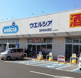 ウエルシア 取手ゆめみ野店