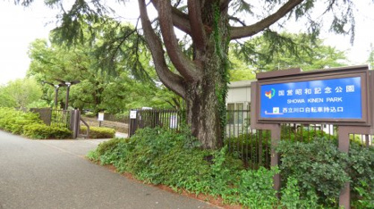 国営昭和記念公園 レインボープールの画像1