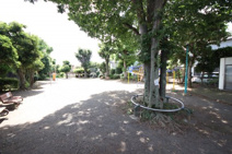 富士見五丁目公園