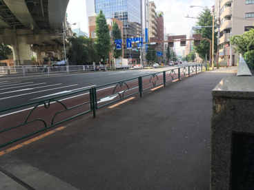 江戸川橋（桜並木）の画像2