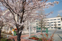 中野区立第二中学校