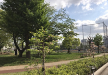 本五ふれあい公園多目的運動場