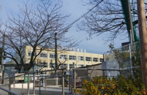 中野区立桃花小学校