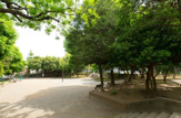 中央西公園