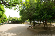 中央西公園