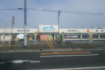 ドラッグストア ウエルシア 土浦真鍋店