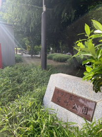 栄町公園の画像2