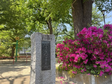 方南公園の画像2