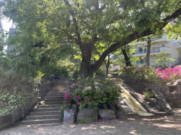 方南公園の画像3