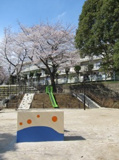 和田さくらの坂公園