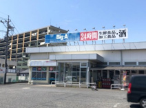 ビッグ・エー 三芳竹間沢店