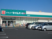 ドラッグストアセイムス北坂戸店