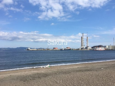 久里浜海岸の画像1