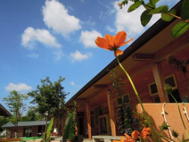 幼保連携型認定こども園 神童幼稚園