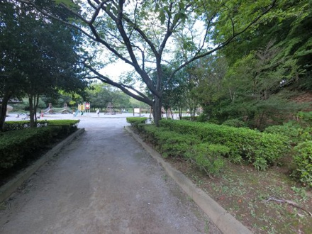 上座公園