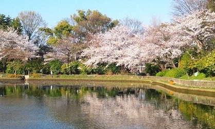 呼続公園の画像1
