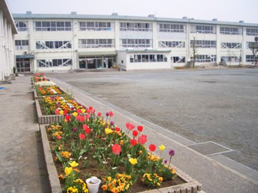 茅ヶ崎市立松林小学校の画像1