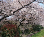 元横山公園