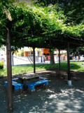 大和田公園