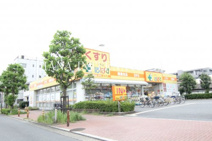 どらっぐぱぱす