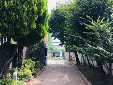 文京区立本駒込西保育園の画像2