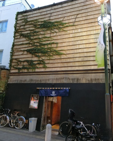 Kitchen Bar でんの画像1
