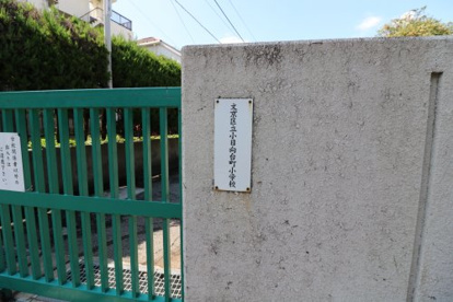 共立大日坂幼稚園の画像3