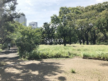 神奈川公園の画像1