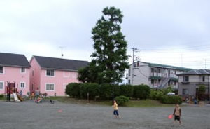 水神宮公園の画像1