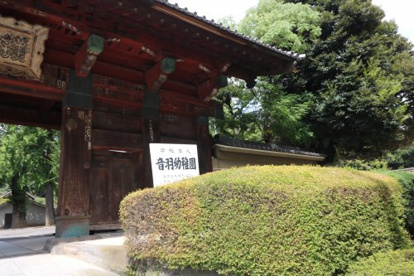 音羽幼稚園の画像1