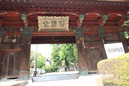 音羽幼稚園の画像2