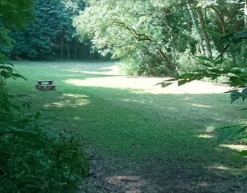 都立滝山自然公園の画像1