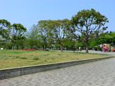 本郷台中央公園