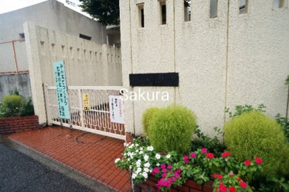宮谷小学校の画像1