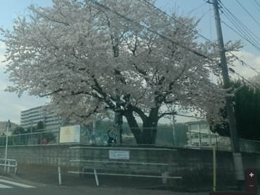 八王子市立上壱分方小学校の画像1
