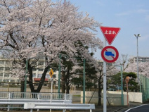 八王子市立横川小学校
