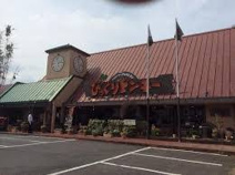 びっくりドンキー 田無店