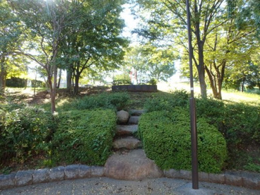 美しが丘西滝の沢公園の画像2