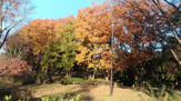 上郷四号緑地
